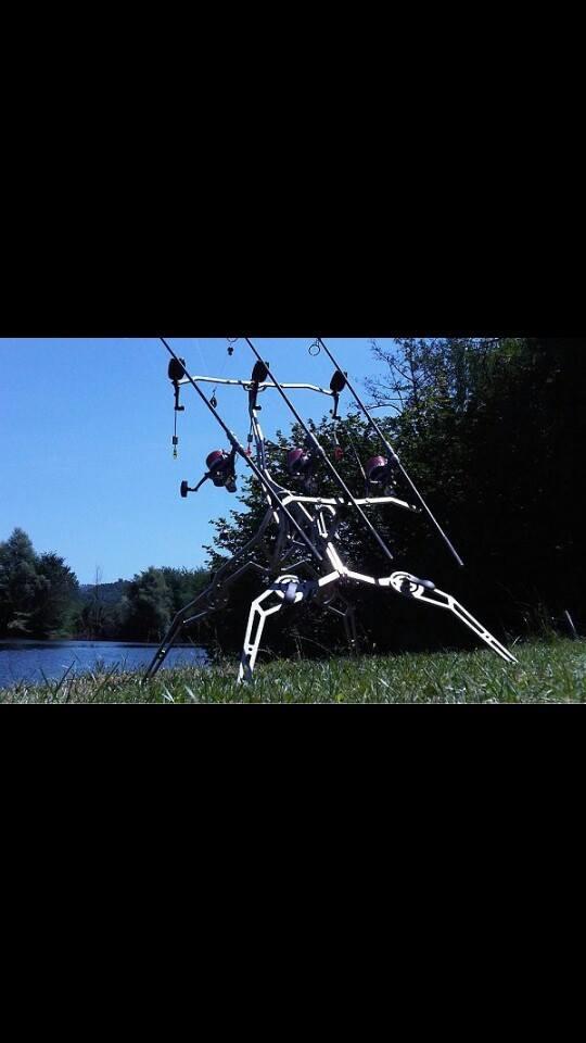 diverse adunate - 139342074691766199059875319836n.jpg